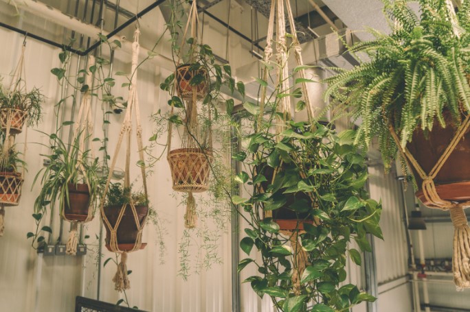 многоуровневые горшки для растений многоуровневые горшки для растений