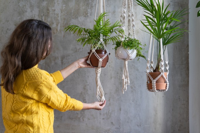 горшки для растений на стену горшки для растений на стену